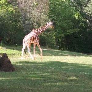 Meet your Posher, Lilia